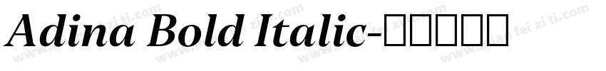 Adina Bold Italic字体转换